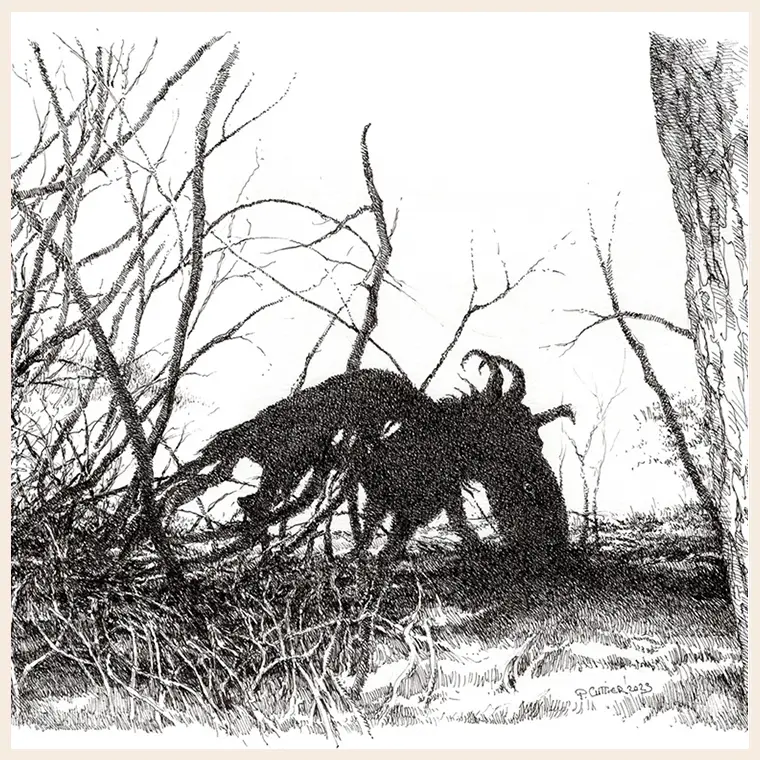 Paul Cuttier et ses magnifiques dessins exposés au fesival des arts et des pierres de Balazuc